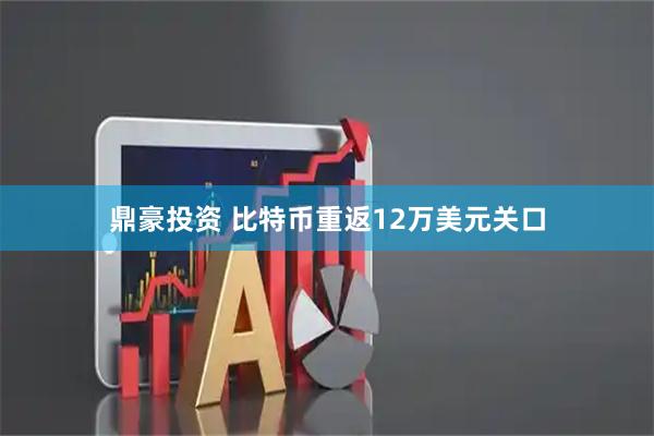 鼎豪投资 比特币重返12万美元关口