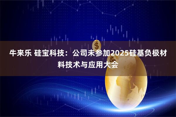牛来乐 硅宝科技：公司未参加2025硅基负极材料技术与应用大会