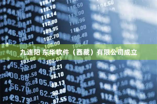 九连阳 东华软件(西藏)有限公司成立