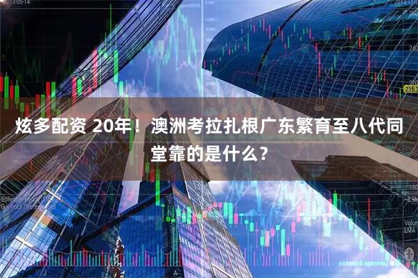 炫多配资 20年！澳洲考拉扎根广东繁育至八代同堂靠的是什么？