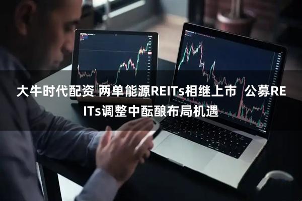大牛时代配资 两单能源REITs相继上市  公募REITs调整中酝酿布局机遇
