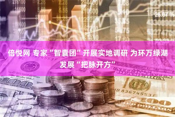 倍悦网 专家“智囊团”开展实地调研 为环万绿湖发展“把脉开方”